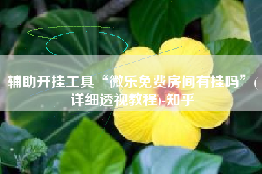 辅助开挂工具“微乐免费房间有挂吗”(详细透视教程)-知乎