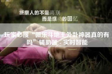 玩家必搜“微乐斗地主外卦神器真的有吗”辅助器 - 实时智能