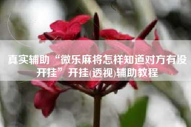 真实辅助“微乐麻将怎样知道对方有没开挂”开挂(透视)辅助教程