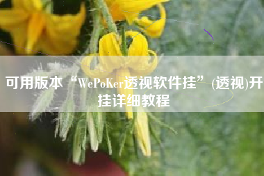 可用版本“WePoKer透视软件挂”(透视)开挂详细教程