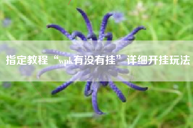 指定教程“wpk有没有挂	”详细开挂玩法