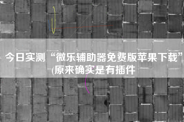 今日实测“微乐辅助器免费版苹果下载	”(原来确实是有插件