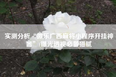 实测分析“微乐广西麻将小程序开挂神器”(曝光透视必备猫腻