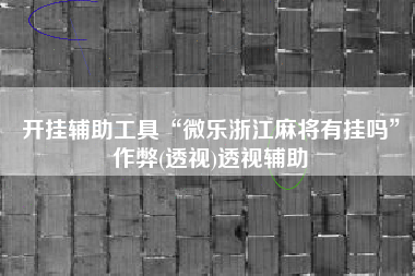 开挂辅助工具“微乐浙江麻将有挂吗”作弊(透视)透视辅助