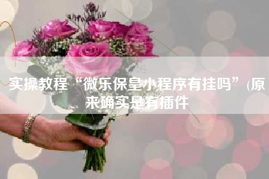 实操教程“微乐保皇小程序有挂吗”(原来确实是有插件