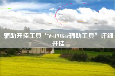 辅助开挂工具“WePOKer辅助工具	”详细开挂