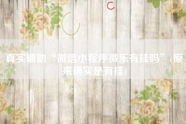 真实辅助“微信小程序微乐有挂吗”(原来确实是有挂)