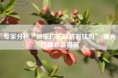 专家分析“微乐广东麻将有挂吗”(曝光透视必备猫腻