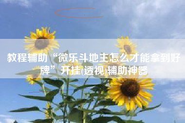 教程辅助“微乐斗地主怎么才能拿到好牌”开挂(透视)辅助神器