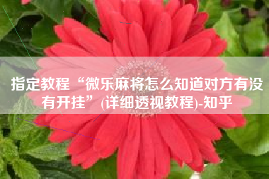 指定教程“微乐麻将怎么知道对方有没有开挂”(详细透视教程)-知乎