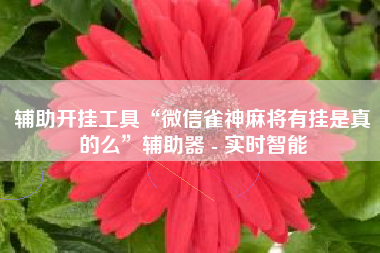 辅助开挂工具“微信雀神麻将有挂是真的么”辅助器 - 实时智能