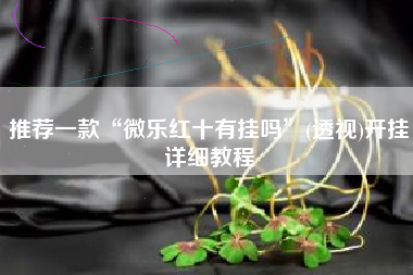 推荐一款“微乐红十有挂吗”(透视)开挂详细教程