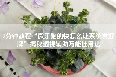 3分钟教程“微乐跑的快怎么让系统发好牌”揭秘透视辅助万能挂用法