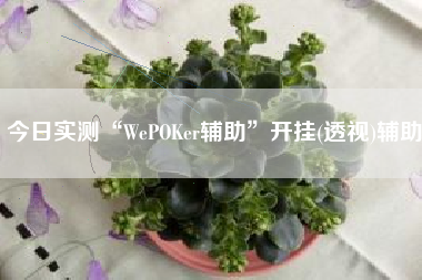 今日实测“WePOKer辅助”开挂(透视)辅助