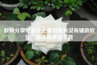 教程分享“德扑之星到底有没有辅助软件”原来有神器下载