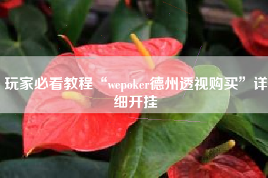 玩家必看教程“wepoker德州透视购买	”详细开挂