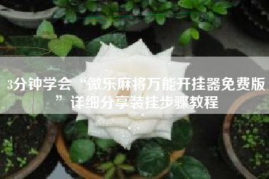 3分钟学会“微乐麻将万能开挂器免费版”详细分享装挂步骤教程