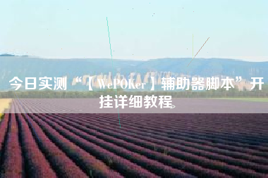 今日实测“【WePOKer】辅助器脚本	”开挂详细教程