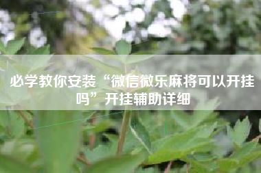 必学教你安装“微信微乐麻将可以开挂吗”开挂辅助详细