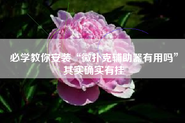 必学教你安装“微扑克辅助器有用吗	”其实确实有挂