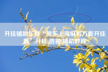 开挂辅助工具“微乐上海麻将万能开挂器”开挂(透视)辅助教程