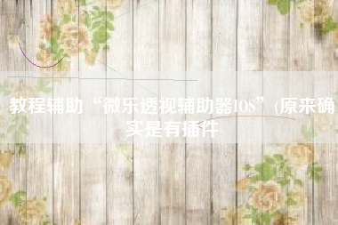 教程辅助“微乐透视辅助器IOS”(原来确实是有插件