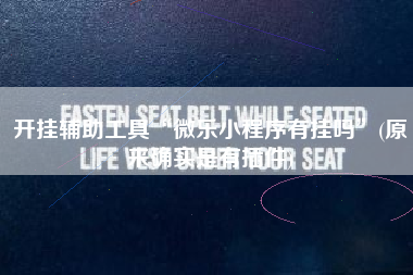 开挂辅助工具“微乐小程序有挂吗	”(原来确实是有插件)