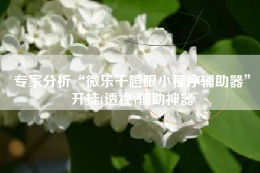 专家分析“微乐干瞪眼小程序辅助器”开挂(透视)辅助神器