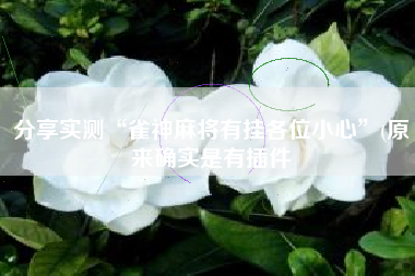 分享实测“雀神麻将有挂各位小心	”(原来确实是有插件