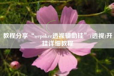 教程分享“wepoker透视辅助挂”(透视)开挂详细教程