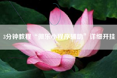3分钟教程“微乐小程序辅助”详细开挂