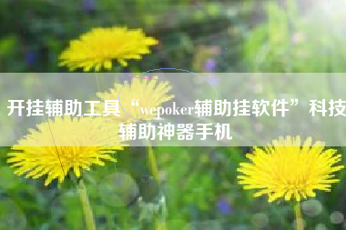 开挂辅助工具“wepoker辅助挂软件	”科技辅助神器手机