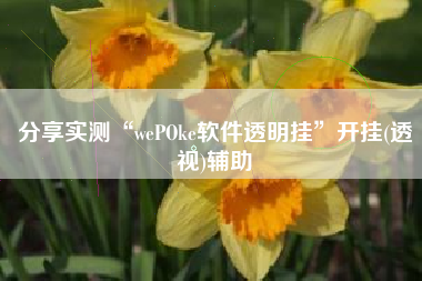 分享实测“wePOke软件透明挂	”开挂(透视)辅助