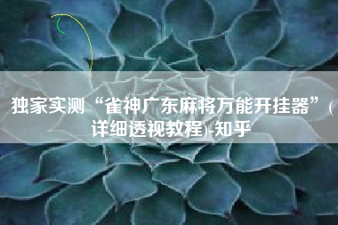 独家实测“雀神广东麻将万能开挂器”(详细透视教程)-知乎