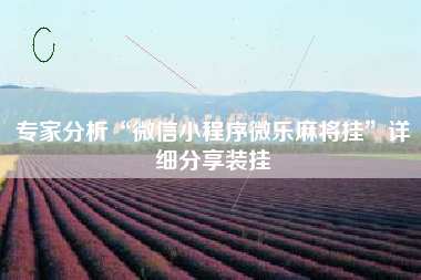 专家分析“微信小程序微乐麻将挂”详细分享装挂