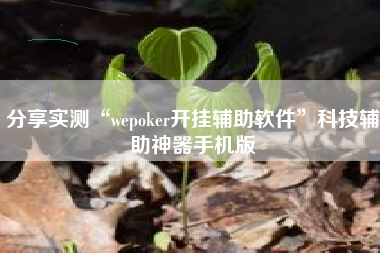 分享实测“wepoker开挂辅助软件”科技辅助神器手机版