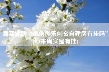 真实辅助“微信微乐刨幺自建房有挂吗”(原来确实是有挂)