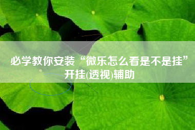 必学教你安装“微乐怎么看是不是挂	”开挂(透视)辅助