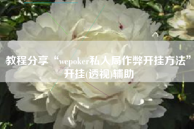 教程分享“wepoker私人局作弊开挂方法”开挂(透视)辅助