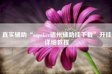 真实辅助“aapoker德州辅助挂下载	”开挂详细教程