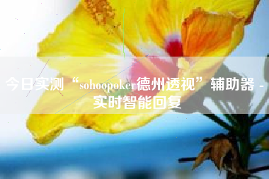 今日实测“sohoopoker德州透视	”辅助器 - 实时智能回复