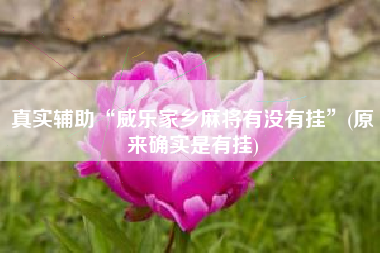 真实辅助“威乐家乡麻将有没有挂”(原来确实是有挂)