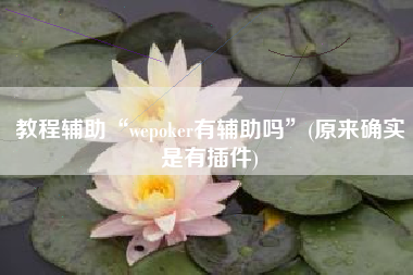教程辅助“wepoker有辅助吗”(原来确实是有插件)