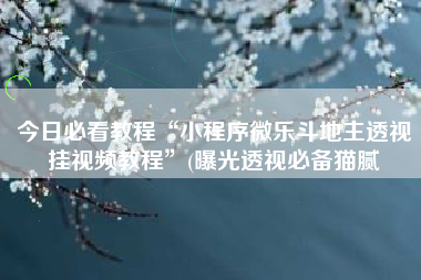 今日必看教程“小程序微乐斗地主透视挂视频教程”(曝光透视必备猫腻