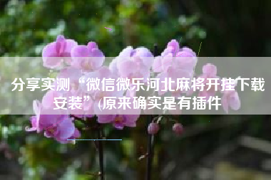 分享实测“微信微乐河北麻将开挂下载安装	”(原来确实是有插件