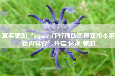 真实辅助“wepoker作弊辅助器最新版本更新内容介	”开挂(透视)辅助
