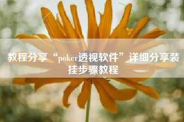 教程分享“poker透视软件	”详细分享装挂步骤教程