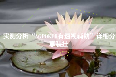 实测分析“AGPOKER有透视辅助	”详细分享装挂