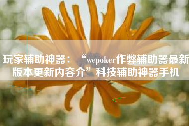 玩家辅助神器：“wepoker作弊辅助器最新版本更新内容介”科技辅助神器手机