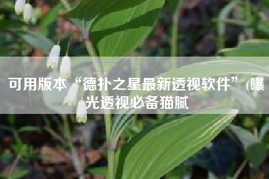 可用版本“德扑之星最新透视软件”(曝光透视必备猫腻